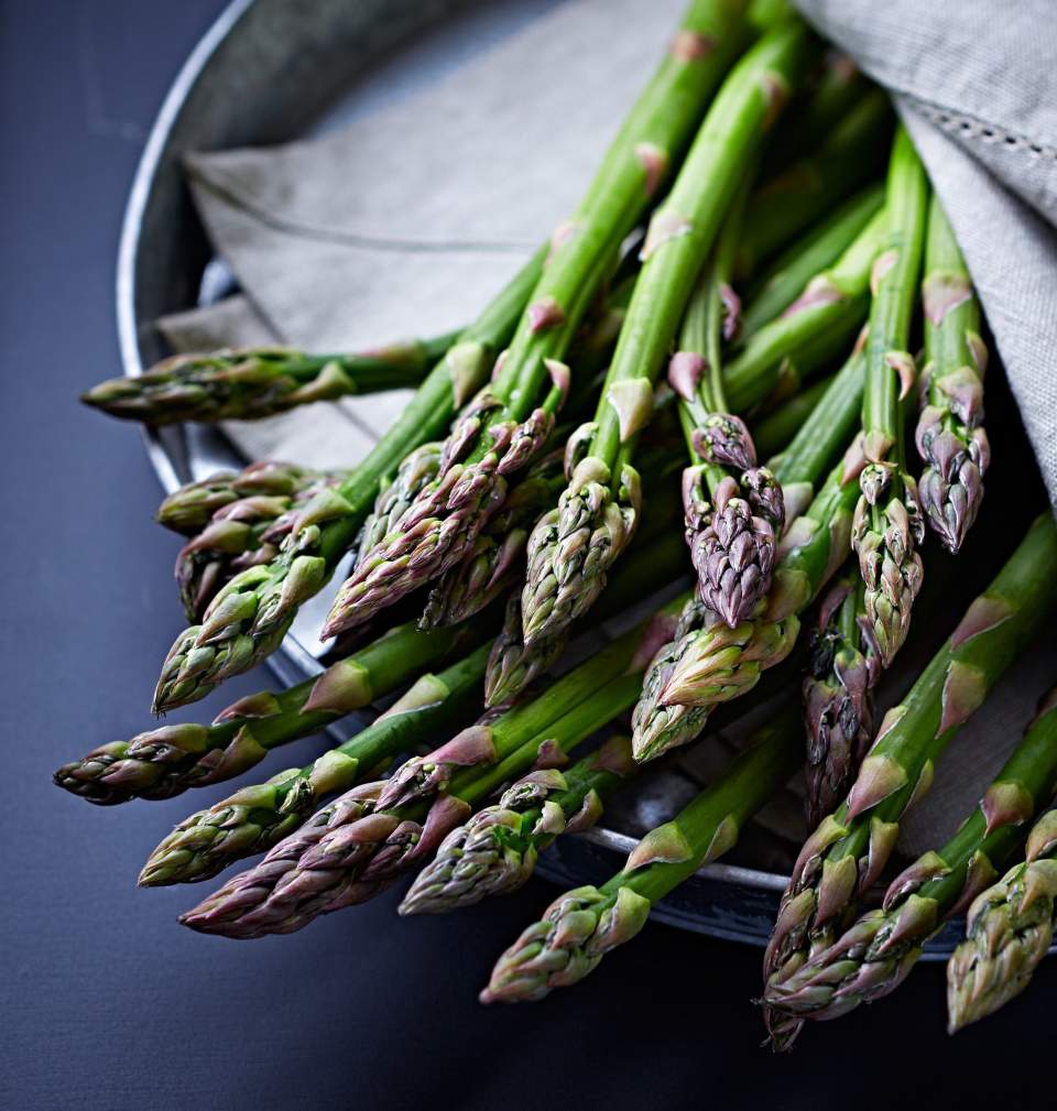 produit restaurant nature